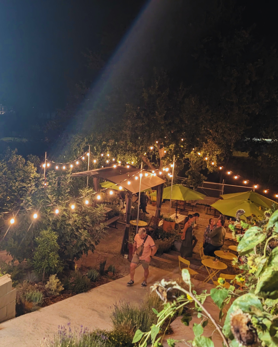 plantable’s (3) copy